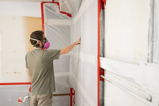 Best Real Estate Mold Inspection  in Roosevelt, NY