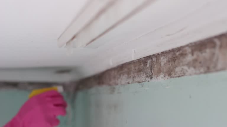 Best Indoor Air Quality Assessment  in Roosevelt, NY